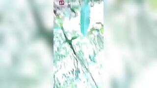 Bé nữ sinh ngoan ngoãn vâng lời lần đầu gặp đã đưa em vào rừng