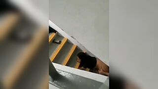 Giữa thanh thiên bạch nhật có đôi tình nhân làm tình ở cầu thang