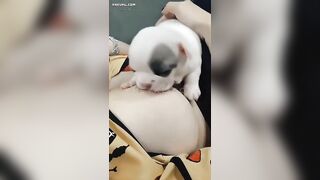 Tao chưa dậy thì thành công mày đã chơi tao rồi “Ấu Dâm” à