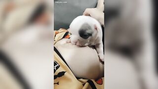 Tao chưa dậy thì thành công mày đã chơi tao rồi “Ấu Dâm” à