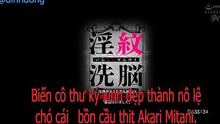 Cô Thư Ký Xinh đẹp Thành Nô Lệ