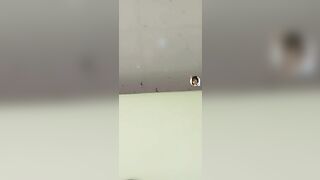 Nhã vy p1