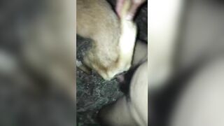 Địt ng đã sướng huống chi địt chó mà chó còn sướng vãi đái ra