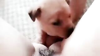 Ai sẽ là con chó của em tối nay st
