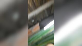 Xuất trong miệng con em luon