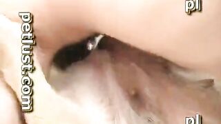 Sướng hơn đụ ng