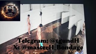 Cam boy nhà trồng