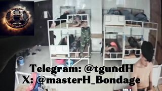 Cam boy nhà trồng