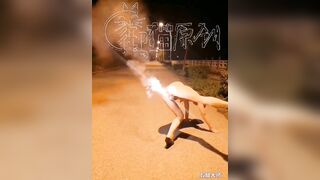 Pháo hoa năm mới !
