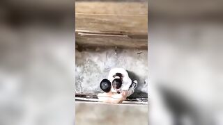Tưởng vào hẻm là không bị ai phát hiện 🤣