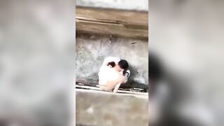 Tưởng vào hẻm là không bị ai phát hiện 🤣
