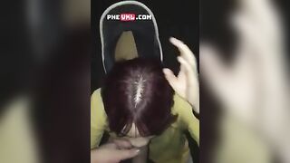 Bắt được con bò lạc cho nó uống sữa từ ngoài đường về nhà