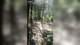 Tây du ký - Sư phụ ra tay