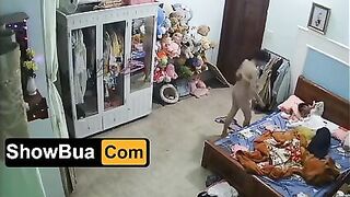 Quay lén, sống cùng chị dâm