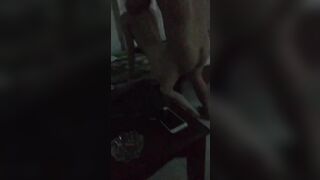 Này thì thèm cảm giác lạ, rên la banh cả phòng