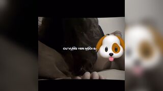 xem mà nứngg