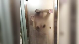Đi tắm cũng không yên