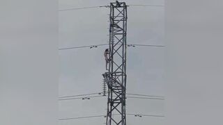 đã bảo kẻ mỏng thôi mà cứ không nghe