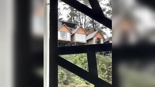 Đà Lạt view này chill thật, thằn lằn bám kính giữa ban ngày