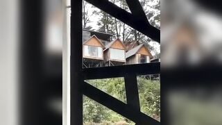 Đà Lạt view này chill thật, thằn lằn bám kính giữa ban ngày