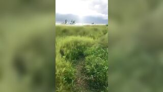 Dẫn em ghệ đi hồ Dầu Tiếng camping và cái kết sướng cu