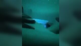 Clip Sex Như Quỳnh Phần 2 Hot, Vừa Doggy Vừa Bú Cặc