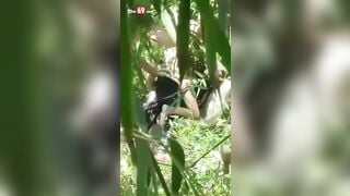 Chịch public tại công viên, nhún mạnh lên em