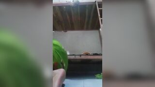 mới tí tuổi đã biết show hàng