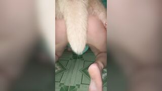 Em gái ở nhà một mình nứng lồn quá cho chó địt cho bớt nứng lồn