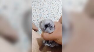 quần sịp của mẹ🤡