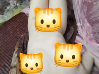 bán alb giá rẻ