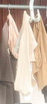 Gái xinh 8