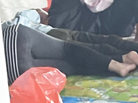 Bưởi Beo Lai 2008